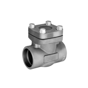 Forged Steel Check Valve 2