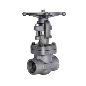 Globe Valve