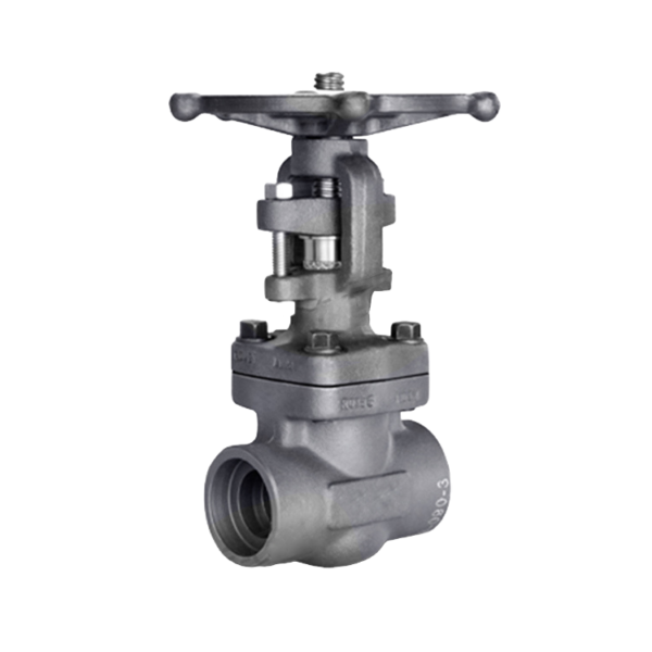 Globe Valve
