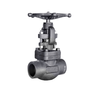 Forged Steel Pipe Gate Valve