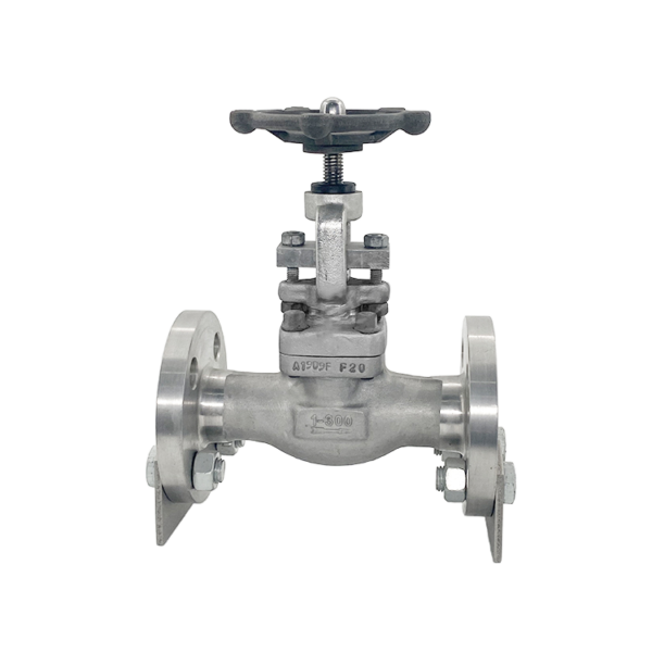 Forged Steel Globe Valve