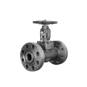Large Diameter Forged Steel Valve